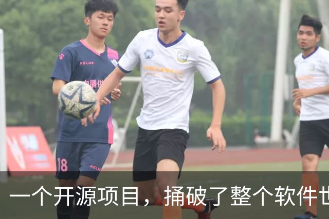 一个开源项目，捅破了整个软件世界的窗户纸