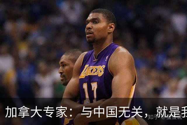 加拿大专家：与中国无关，就是我们干的