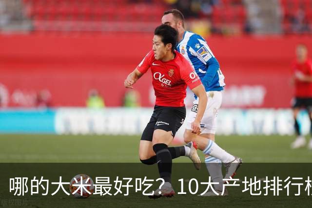 哪的大米最好吃？10大产地排行榜：五常第1，但“最健康”的答案不在产地，在米袋上