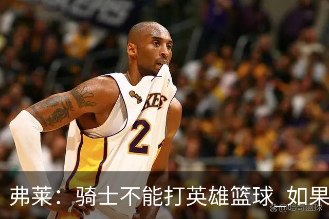 弗莱：骑士不能打英雄篮球 如果认清自身定位会非常危险