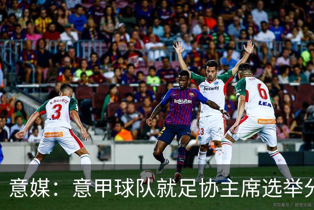 意媒：意甲球队就足协主席选举分为马拉戈、加利亚尼两个阵营