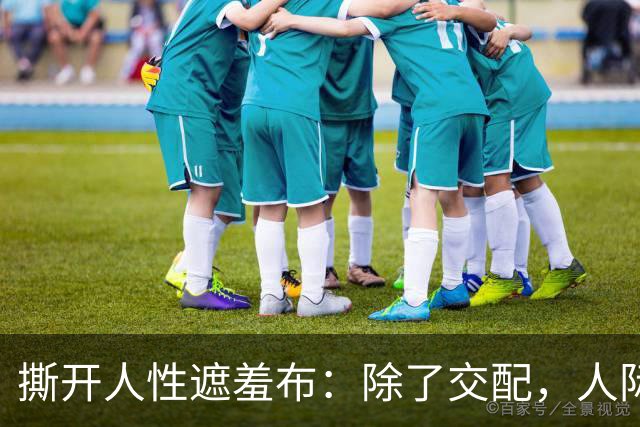 撕开人性遮羞布：除了交配，人际关系全是交易