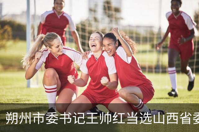 朔州市委书记王帅红当选山西省委常委