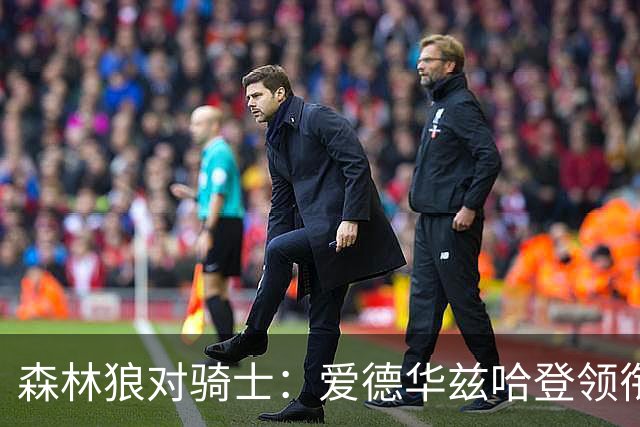 森林狼对骑士：爱德华兹哈登领衔，两队伤情成看点