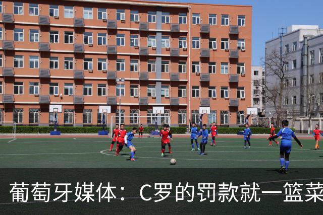葡萄牙媒体：C罗的罚款就一篮菜！他不可能放弃乖乖接受替补！