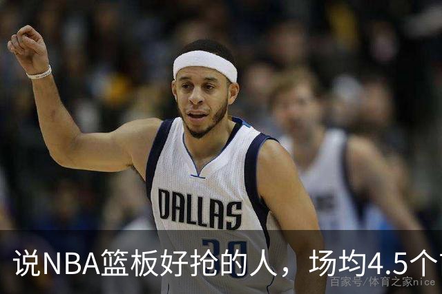 说NBA篮板好抢的人，场均4.5个前板排第4