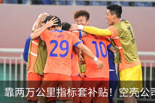 靠两万公里指标套补贴！空壳公司卷走三个亿，全甩给底层买单