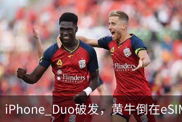 iPhone Duo破发，黄牛倒在eSIM